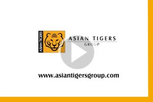 international movings seoul Asian Tigers (International Moving and Relocation) - Korea